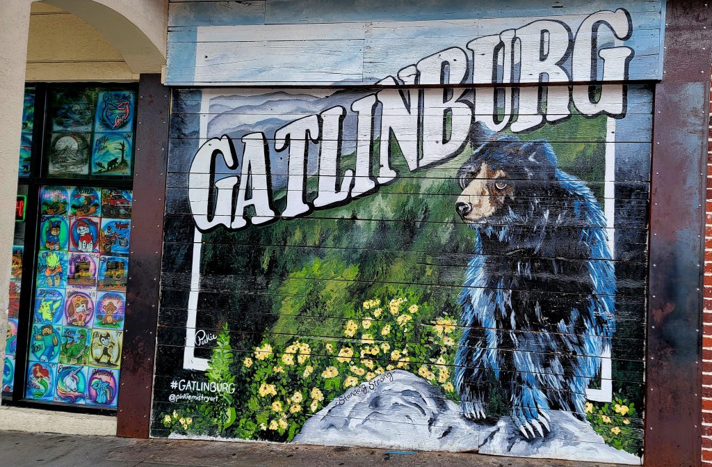 Traveling between Gatlinburg and McGhee Tyson Airport (TYS)? Smokies Airport Shuttle provides reliable, pre-scheduled airport transportation with guaranteed pickup times and flat-rate pricing. Whether you’re arriving for a Smoky Mountains vacation or heading home after your stay, our private shuttle service offers door-to-door transportation between Gatlinburg hotels, resorts, cabins, and the airport.